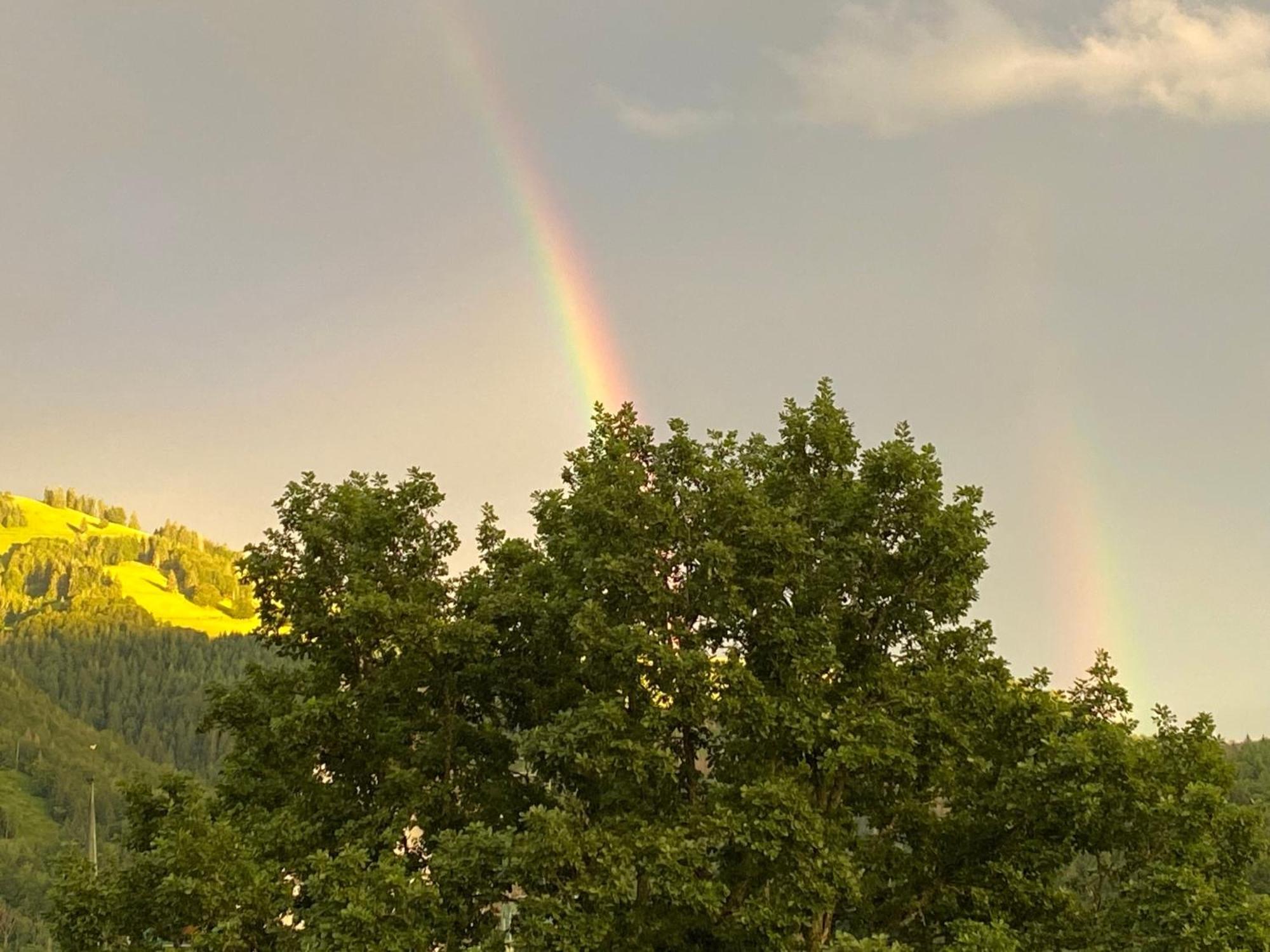 Ferienwohnung Schoenblick Schönau im Schwarzwald Extérieur photo